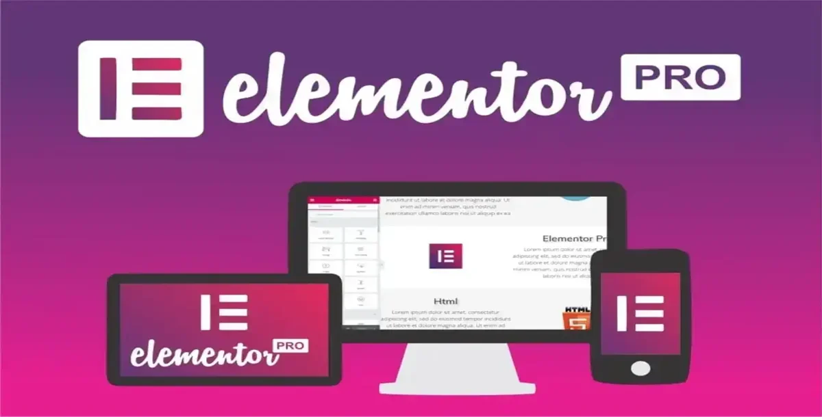 Elementor Pro - WordPress page builder Plugin 3.30.0